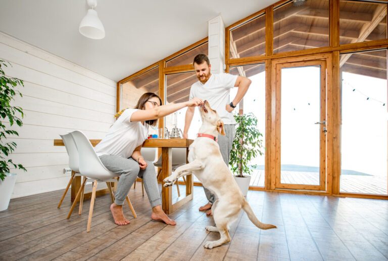 Rabbit Creek neighborhood